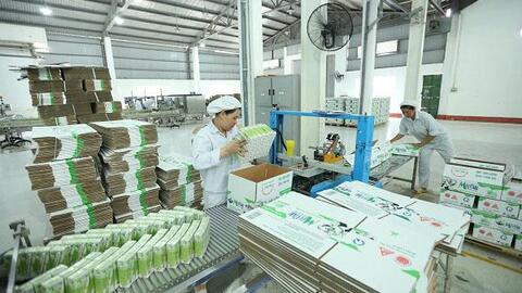 Hội Chăn nuôi Việt Nam kiến nghị Thủ tướng Chính phủ một số giải pháp phát triển chăn nuôi bền vững