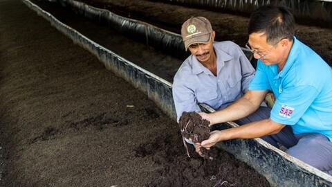 GREENFEED: Tiên phong xử lý chất thải bằng mô hình nuôi trùn quế