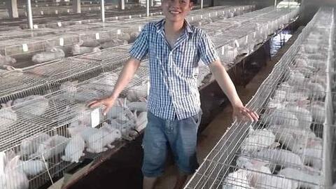 Phương pháp nhân giống thỏ