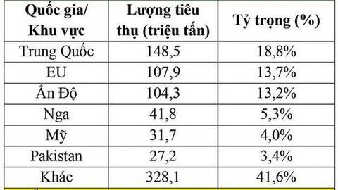 Giá lúa mì sẽ ổn định trong 2021-2022?