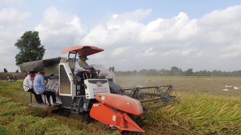 Chuyển mục đích sử dụng hơn 25ha đất trồng lúa để thực hiện 8 dự án, công trình 