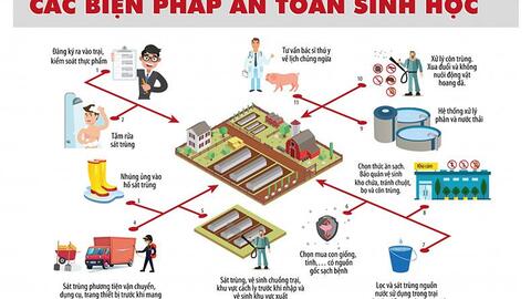 An toàn sinh học trong chăn nuôi sinh thái