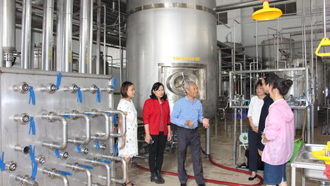 Sản xuất thành công bia gừng lên men "Made in Vietnam"