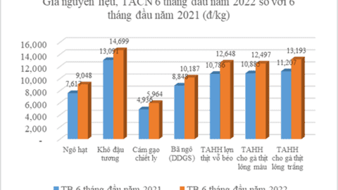 Vì sao giá nguyên liệu thức ăn chăn nuôi tăng cao nửa đầu năm?