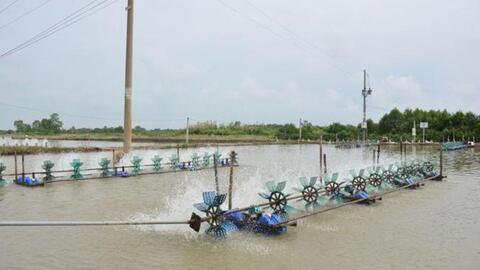 Ứng dụng công nghệ sinh học từ tính trong chăn nuôi gia súc, gia cầm và thuỷ hải sản