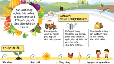 Nông nghiệp hữu cơ: Trách nhiệm xã hội