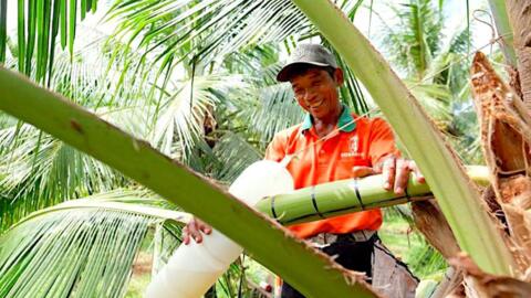 Đưa đặc sản vùng sâu, miền núi, hải đảo vươn xa