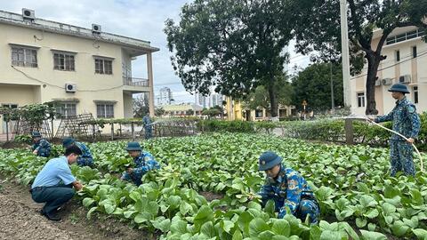 Tăng gia giữa phố biển