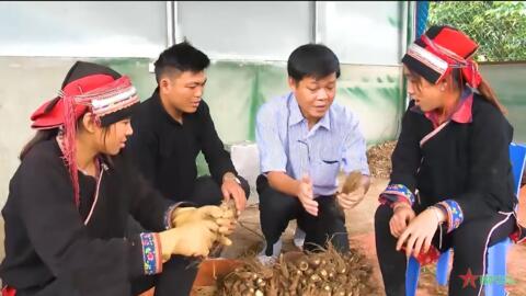 Người truyền cảm hứng và mang lại sinh kế cho nông dân
