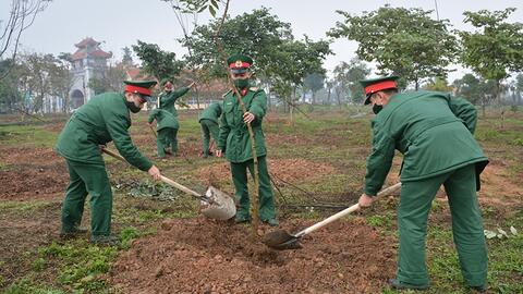 Thứ trưởng Bộ Nông nghiệp và Phát triển nông thôn Nguyễn Quốc Trị: Tổ chức Tết trồng cây phải thiết thực, hiệu quả