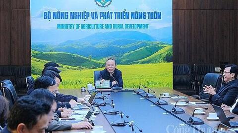 Vắc xin Dịch tả lợn châu Phi của AVAC dự kiến sẽ được sử dụng rộng rãi trong tháng 2/2023