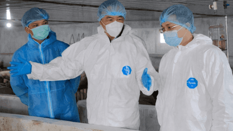 Tiến tới nêu rõ tiêu chí cho trang trại trước khi tiêm vacxin DTLCP