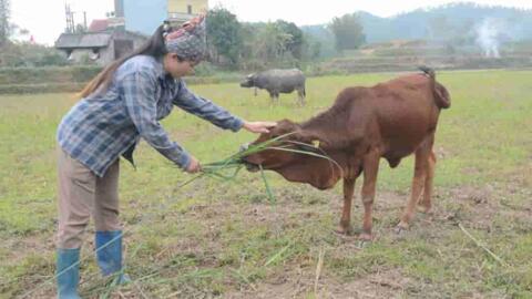 Bộ đội vùng biên giúp dân vượt khó, thoát nghèo