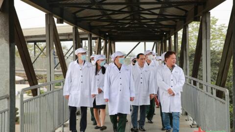 Đoàn công tác Báo Quân đội nhân dân tham quan các mô hình sản xuất của Tập đoàn TH