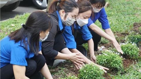 Tăng mảng xanh làm đẹp thành phố
