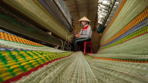 Nghề dệt chiếu cói Phú Tân