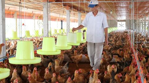 Cục Chăn nuôi: Tiếp tục hiện đại hóa nền hành chính