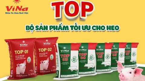 Vinafeed Group ra mắt dòng sản phẩm cao cấp mới cho heo