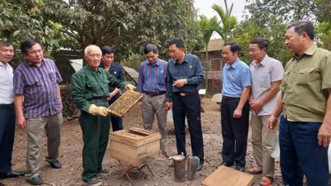 Niềm vui từ gia trại
