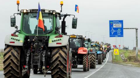 EU chia rẽ vì vấn đề ngũ cốc của Ukraine