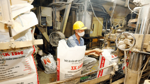 Xuất khẩu thức ăn gia súc quý I/2023 giảm 15,8% kim ngạch