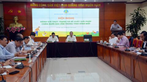 Chăn nuôi gia cầm đối mặt nhiều khó khăn, thách thức