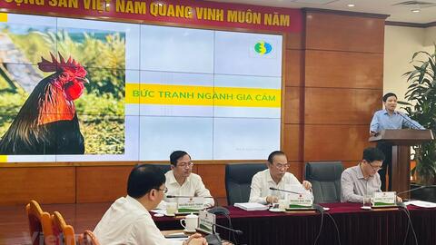 Tìm cách đưa ngành chăn nuôi gia cầm thoát cảnh càng nuôi càng lỗ