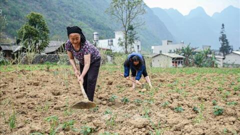 Ứng phó với nguy cơ nắng nóng, hạn hán, thiếu nước, xâm nhập mặn năm 2023-2024