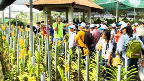 Phát huy thành quả xây dựng nông thôn mới