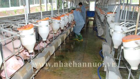 Tóm tắt quy định về vùng an toàn dịch bệnh theo tiêu chuẩn của Tổ chức Thú y Thế giới