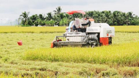 Đồng Nai: Đột phá phát triển nông nghiệp hữu cơ