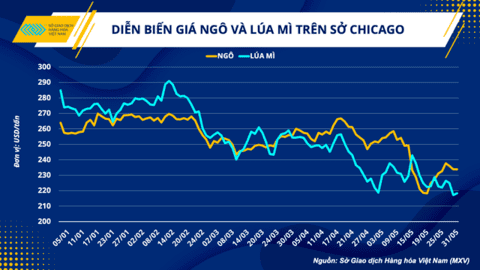 Giá nguyên liệu thức ăn chăn nuôi: Duy trì xu hướng giảm