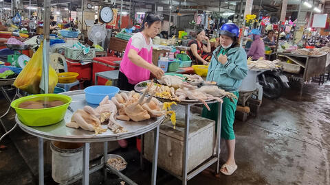 Giá vịt thịt ở mức thấp