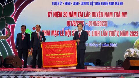 Sâm Ngọc Linh tạo “sức bật” ở Nam Trà My