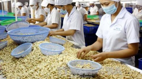 Tránh bị lừa trong giao dịch thương mại quốc tế