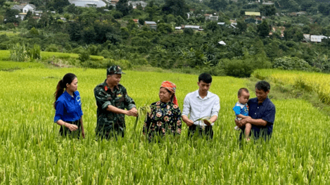 Nghị định 05 của Chính phủ: 23 chính sách dân tộc chưa được ghi nhận