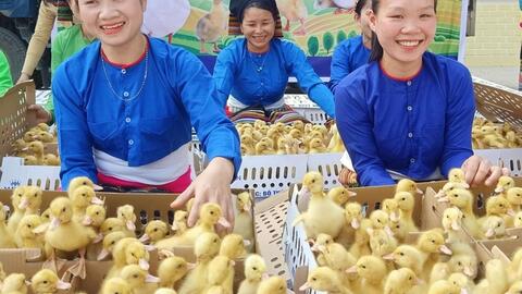 Thanh Hóa xây dựng được 103 cơ sở chăn nuôi an toàn dịch bệnh