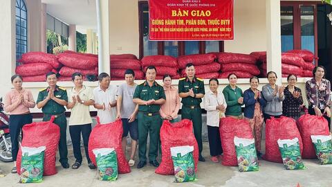 Đoàn Kinh tế-Quốc phòng 516 triển khai mô hình giảm nghèo tại huyện đảo Lý Sơn