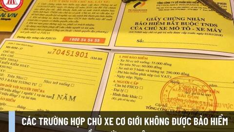 Các trường hợp bảo hiểm không có trách nhiệm bồi thường chủ xe
