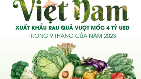 Việt Nam: Xuất khẩu rau quả vượt mốc 4 tỷ USD trong 9 tháng của năm 2023