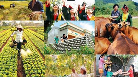 Quyết liệt triển khai thực hiện các chương trình mục tiêu quốc gia