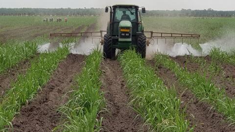 Hướng tới sản xuất mía “xanh” 