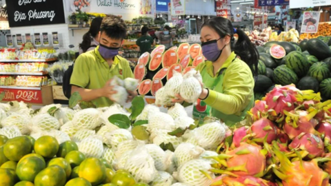 Xuất khẩu rau quả phá kỷ lục lịch sử