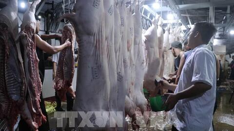 Hà Nội xây dựng chuỗi liên kết trong chăn nuôi quy mô lớn