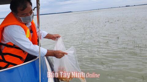 Nghiêm cấm khai thác thuỷ sản trong thời gian thả cá giống vào hồ Dầu Tiếng 