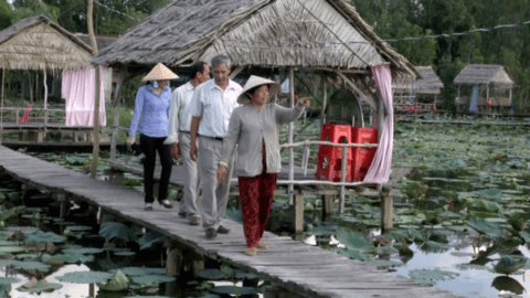 Trồng sen kết hợp làm du lịch cho hiệu quả kinh tế cao