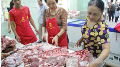Giá heo tăng nhẹ nhưng nhiều người nuôi lỗ nặng