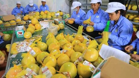 Xuất khẩu nông, lâm, thủy sản Việt Nam đạt 43 tỉ USD