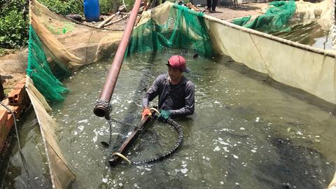 Phát triển vùng nuôi trồng chuyên canh thuỷ sản gắn với hệ thống kênh thuỷ lợi Dầu Tiếng - Phước Hoà 