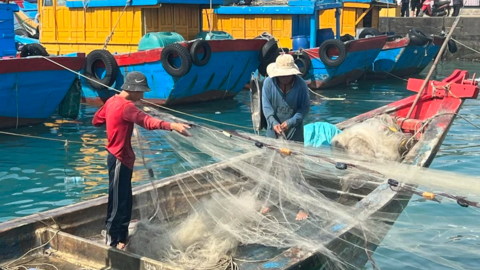 Cơ hội cuối cùng để gỡ “thẻ vàng” IUU